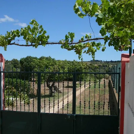 Moradia Perto Dos Palmares * Лагуш