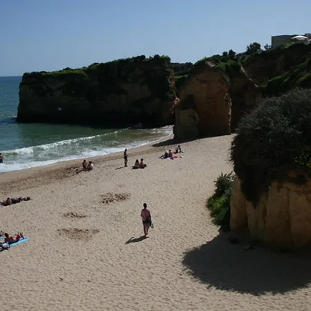 Moradia Perto Dos Palmares