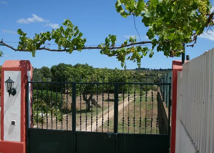 Moradia Perto Dos Palmares * Lagos